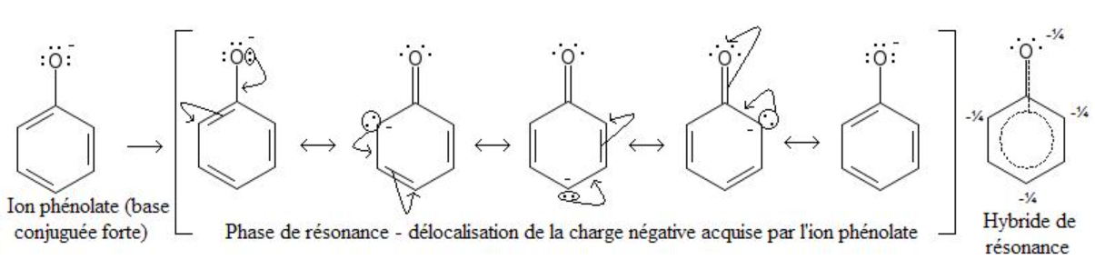 fenolaation